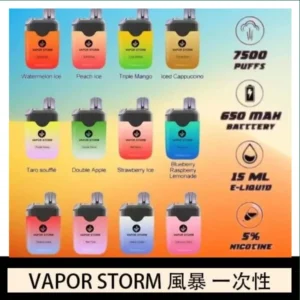 Vapor Storm風暴電子煙7500口（5%）一次性