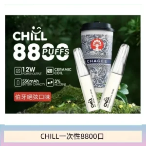 10種口味|鴨嘴獸CHILL 8800口一次性電子菸 8ml大容量煙油