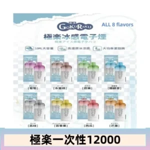 【8種口味】極楽 12000口一次性電子煙|超大容量 |口感絲滑|新品